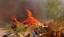 ENTRE GUAYMAS Y EMPALME  Se incendia camino de terracería