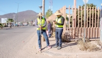 Modernizarán bulevar Diana Laura Riojas de Colosio