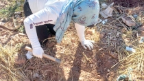 “GUERRERAS BUSCADORAS DE SONORA”  Localizan restos humanos en fosa clandestina