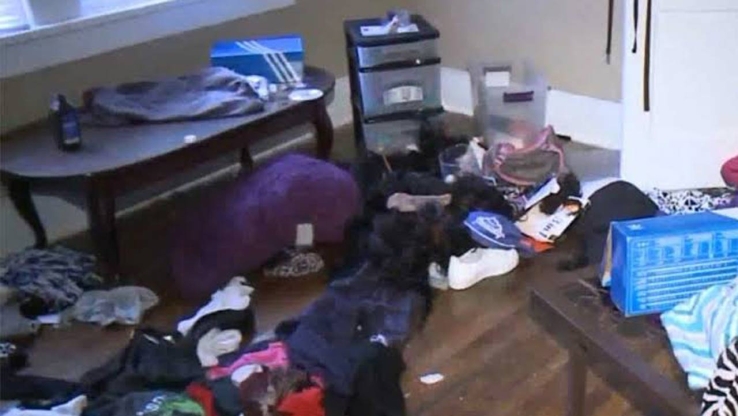 Roban dinero en efectivo y artículos de decoración en vivienda