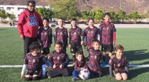 Pingüinos estarán presentes en la liga infantil