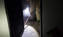 Controlan conato de incendio