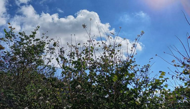 Aumenta la temperatura