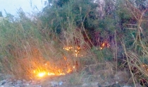 EN EL SECTOR GUARIDA DEL TIGRE  Se incendia lote baldío
