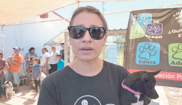 EN EMPALME  Calculan 18 mil perros callejeros