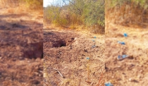 EN EL VALLE DE EMPALME  Localizan Guerreras Buscadoras fosas con restos humanos