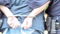 Arrestan a dañista