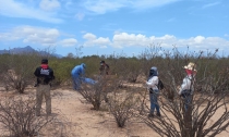 GUERRERAS BUSCADORAS  Localizan restos calcinados