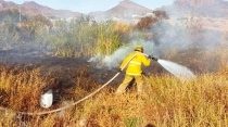 Se incendia lote baldío