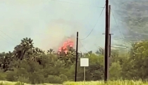 Se incendian palmas en el Tular