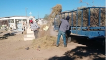EN LIMPIEZA DE PANTEONES  Trabaja Ayuntamiento previo a Día de Muertos