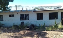 GUAYMAS CARECE DE PERRERA MUNICIPAL  Proyectan la construcción de una perrera municipal