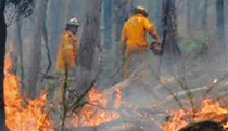 EN EL SECTOR ‘GUADALUPE’  Incrementan incendios de maleza y basura