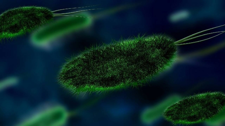 Tuberculosis vuelve a propagarse en el mundo, alerta la OMS