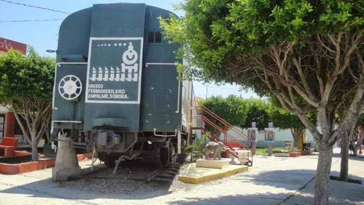 ECOLOGÍA Continua con la poda de árboles