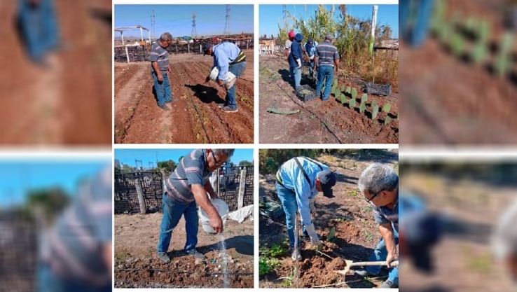Agradecen apoyos por continuar con huertos familiares en el DAER