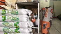 En Guaymas y Empalme Afecta alza de insumos a productores de tortilla