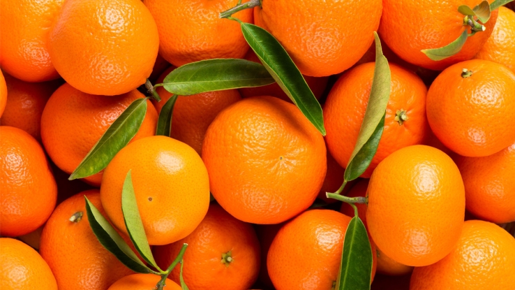 Colocan naranja regional en EU