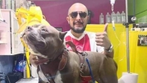 Debemos cuidar a mascotas