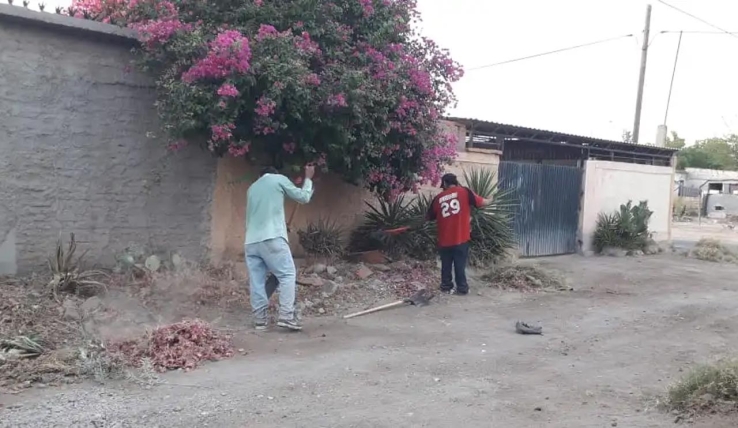 Regularizaran uso de callejones