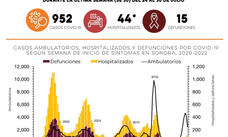 Secretaría de Salud confirma 952 casos de Covid-19 y 15 defunciones