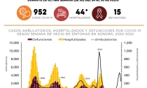 Secretaría de Salud confirma 952 casos de Covid-19 y 15 defunciones