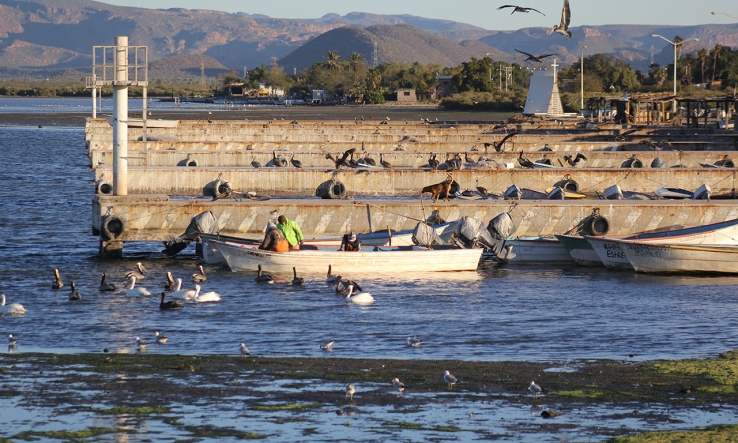 Buscan opciones pescadores