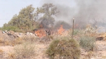 Atienden incendio de maleza en el Centro