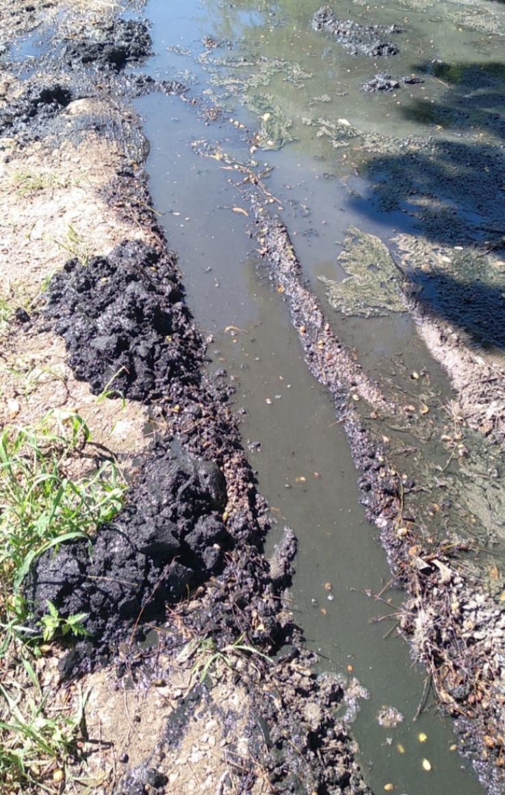 Contaminan Niza con aguas negras