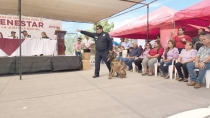 Conocen labor de la Unidad Canina de la PESP
