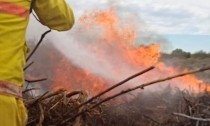 Se incendia predio en San Carlos   