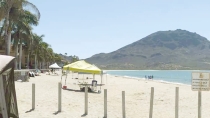 EN MIRAMAR Y SAN CARLOS  Cuidado con las mantarrayas