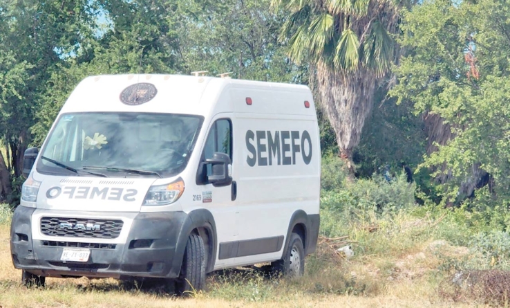 EN CEMENTERIO CLANDESTINO Localizan siete cuerpos