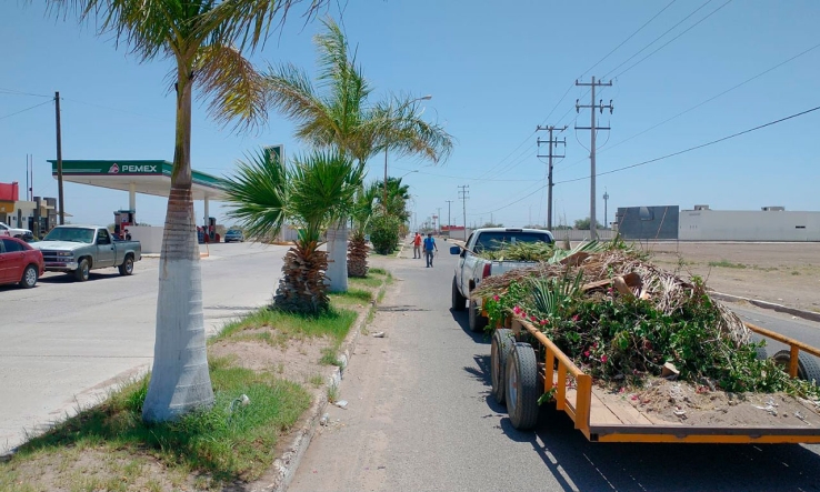 Continúa Ecología con intensa actividad