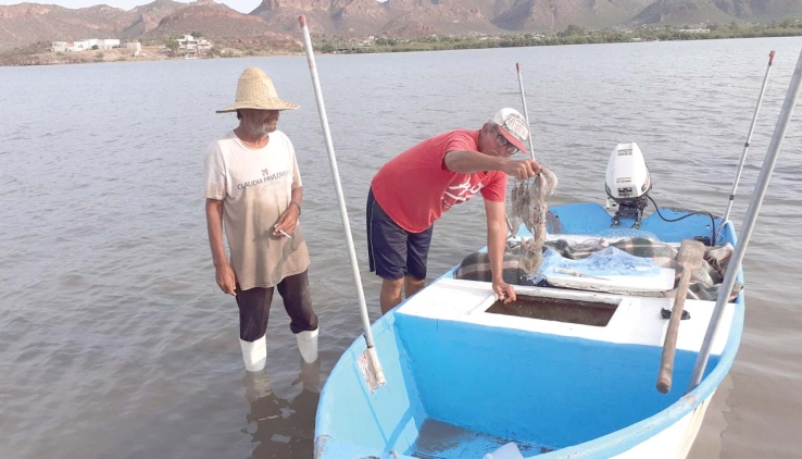 Deberán acreditar documentación pangueros