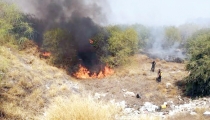 Sofocan incendio de maleza