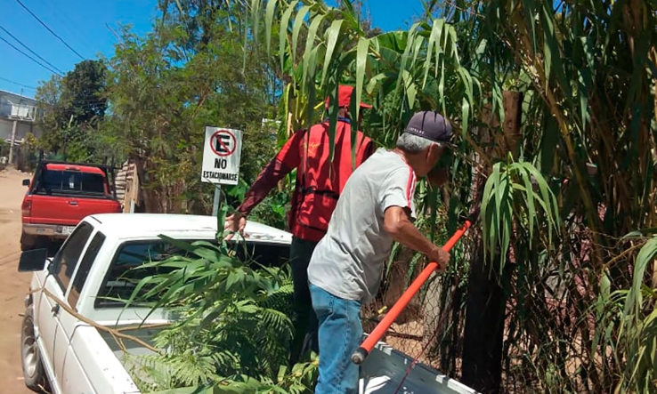 ECOLOGÍA MUNICIPAL  Atiende peticiones de tala y poda