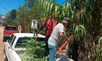 ECOLOGÍA MUNICIPAL  Atiende peticiones de tala y poda