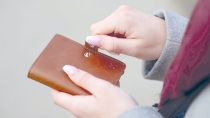 Se extravía cartera en la colonia Las Villas