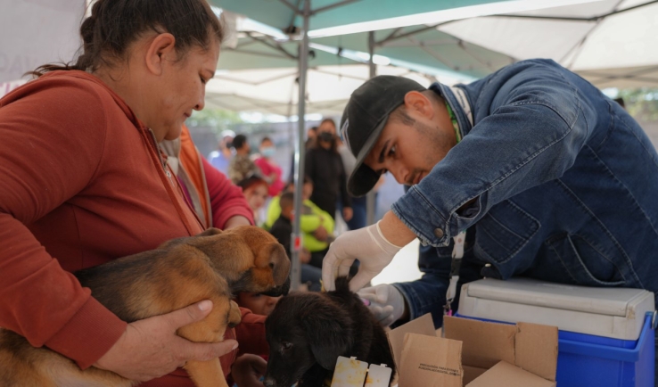 Tendrán un “drive thru”. Realizarán jornada de vacunación animal