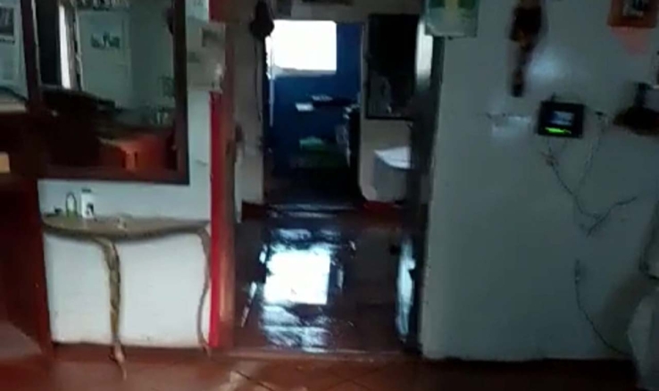 En Rastro Playa se les mete el drenaje a casas