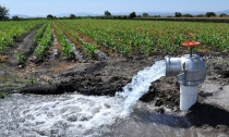 Buscan alternativas para que se reactiven pozos de uso agrícola