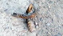 Desconocidos arrojan ponchallantas en la calle 20