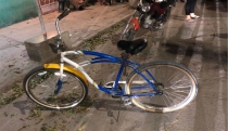 Ocasionan accidente perros