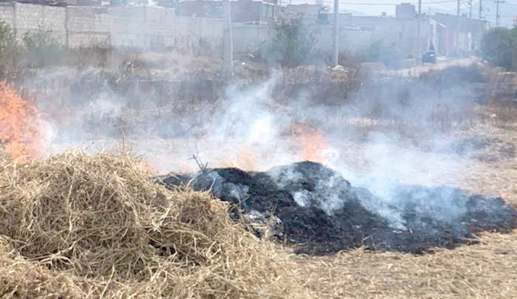 Se registra incendio de basura en predio