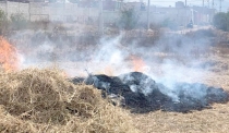 Se registra incendio de basura en predio