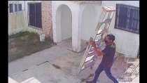 Detienen a ladrón de escalera