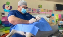 Autoridades de la Secretaría de Salud Llevan jornada de atención veterinaria a Moctezuma