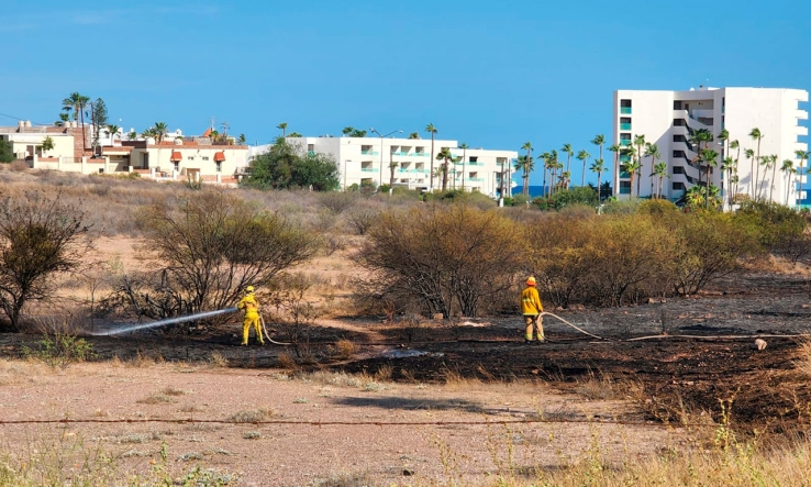 Se registran cinco incendios forestales
