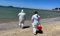 BOMBEROS  En espera de los resultados de muestreos
